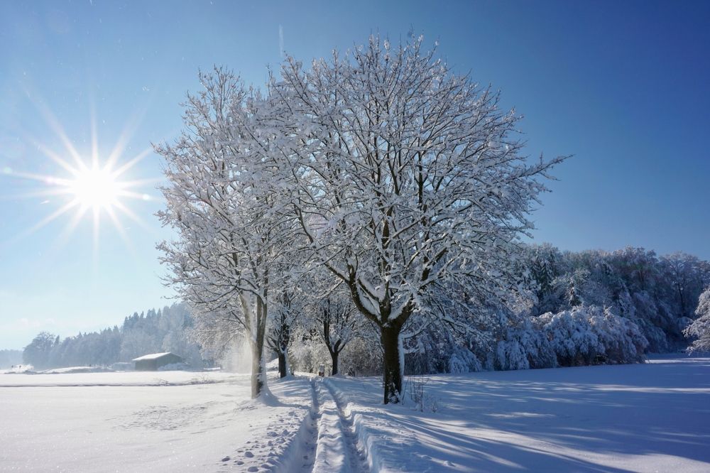 Фотография автора Liudmila Kiermeier