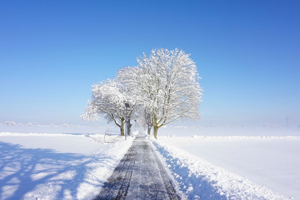 Фотография автора Liudmila Kiermeier