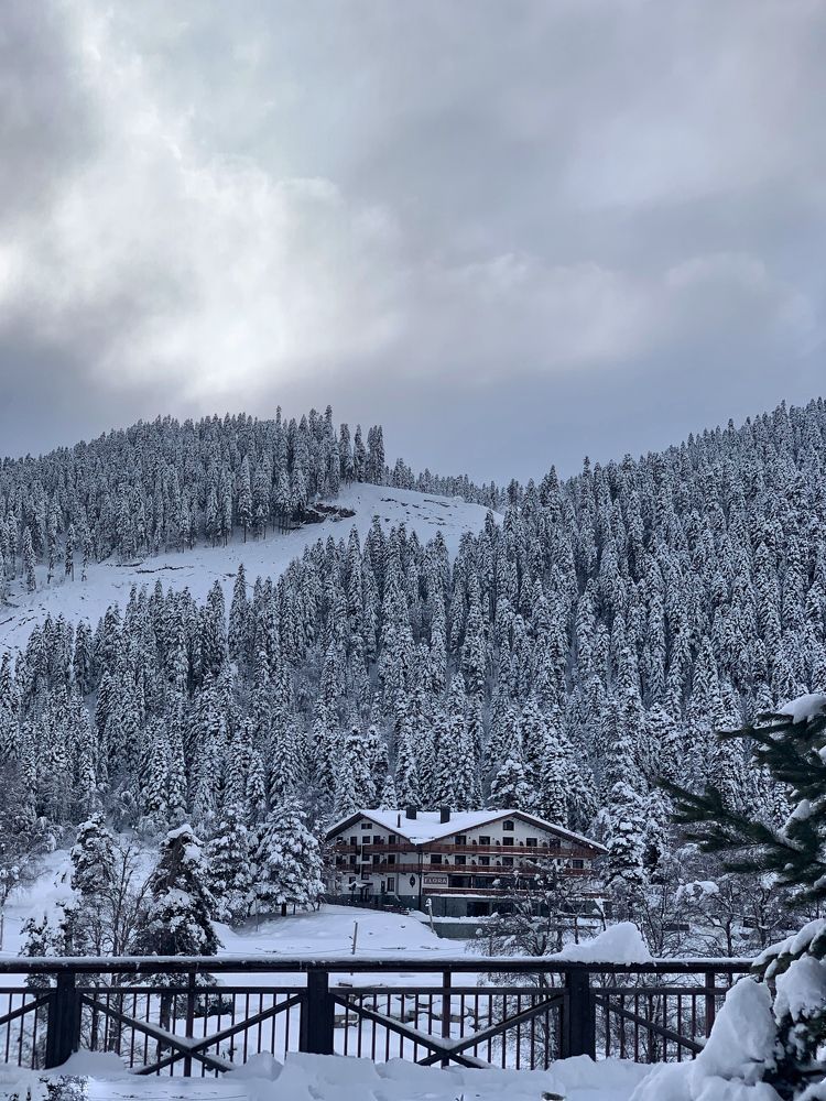 Photograph by Мария Алейникова