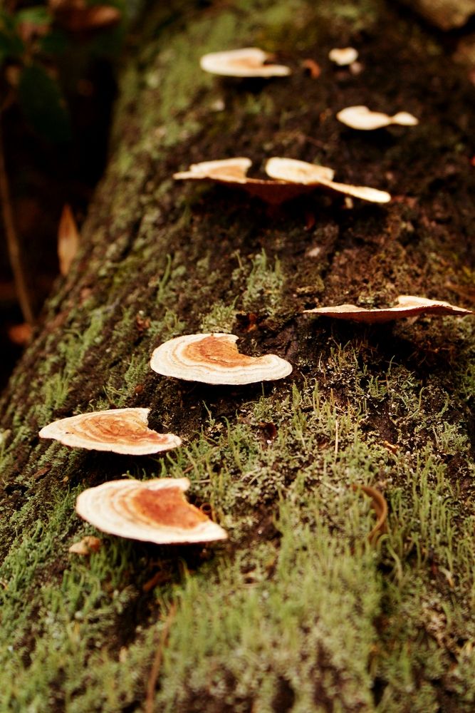 Photograph by Mauricio Brasilli