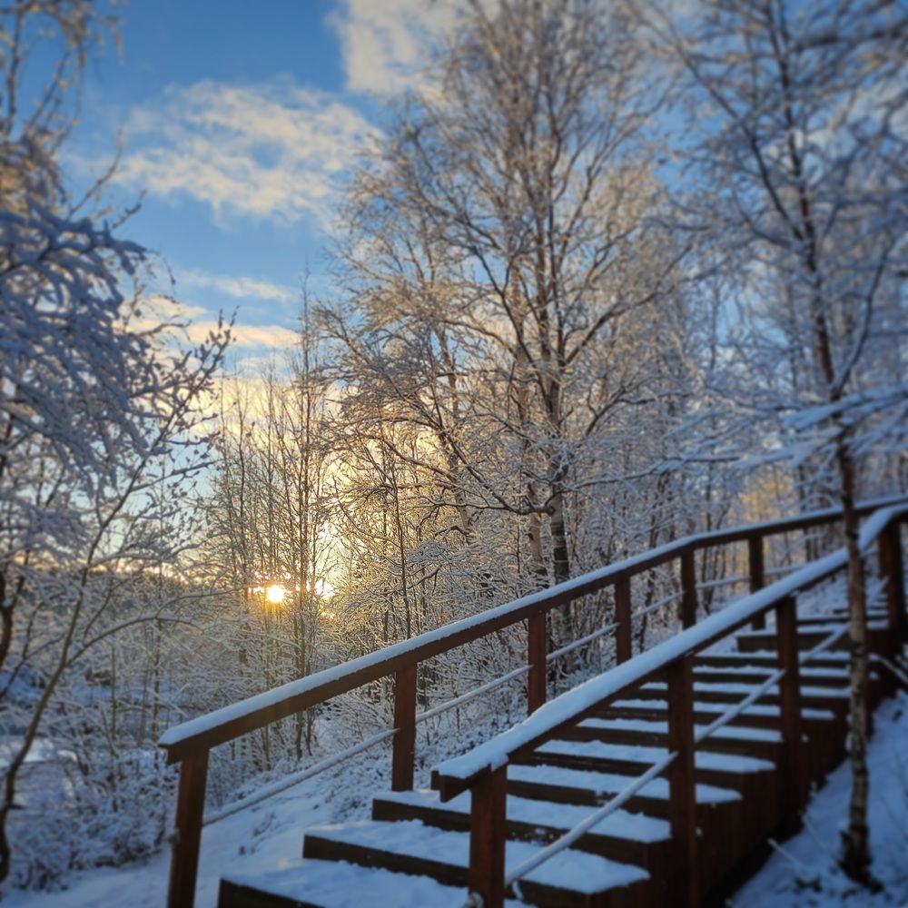 Photograph by Юрий Борисов