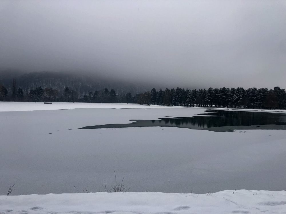 Photograph by Людмила Евстратова