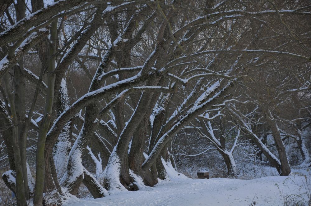 Photograph by Галина Лысых