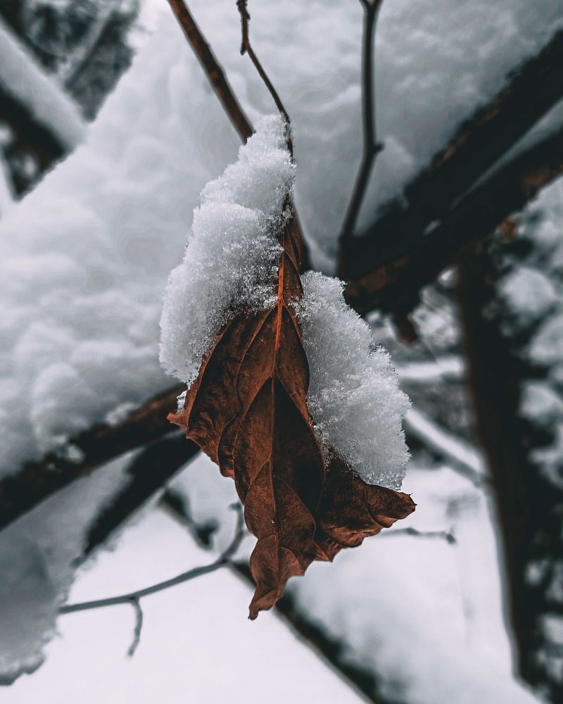 Photograph by Сергей Андреев
