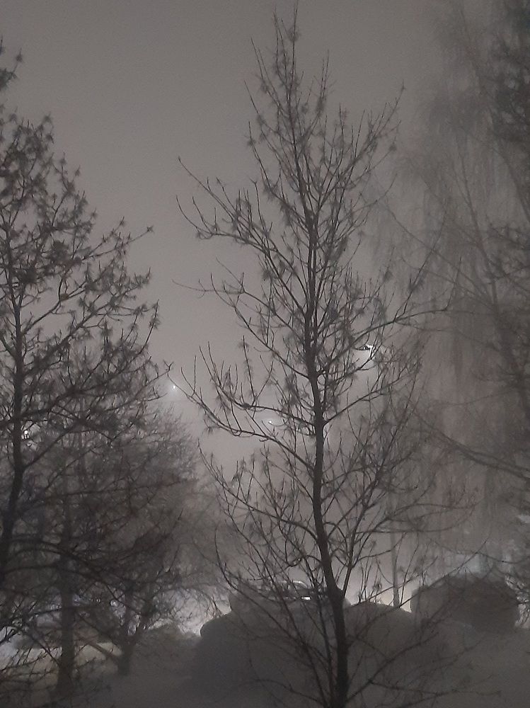 Фотография автора Наталья Шендяпина