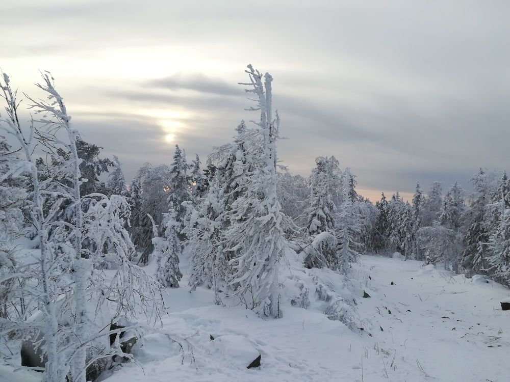 Photograph by Елена Бессонова