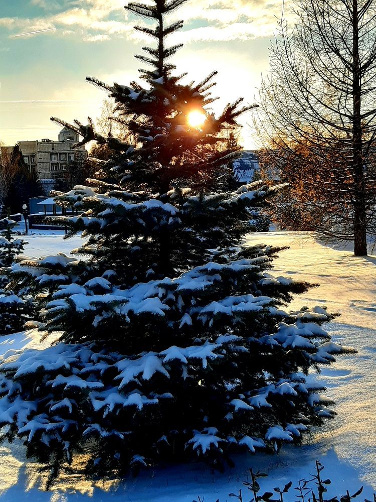 Фотография автора Наталья Шендяпина