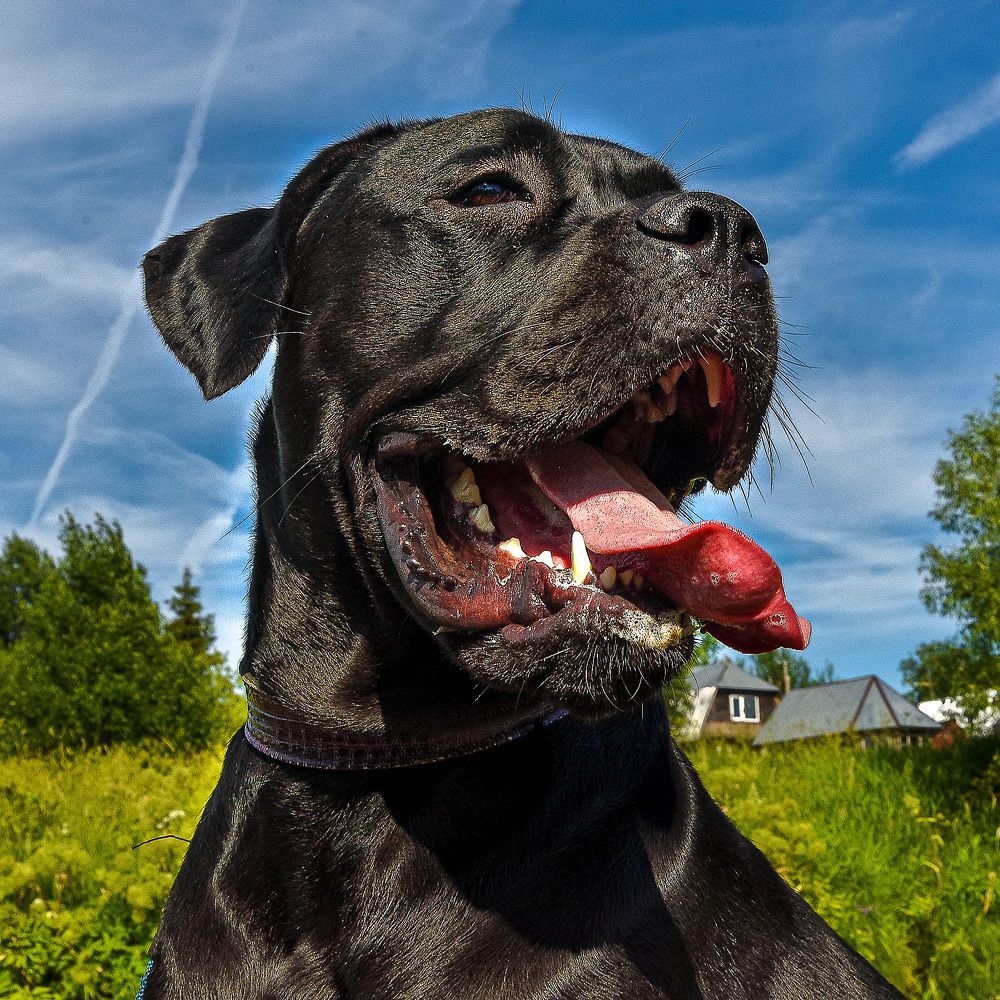 Photograph by Морган Генри Ричард