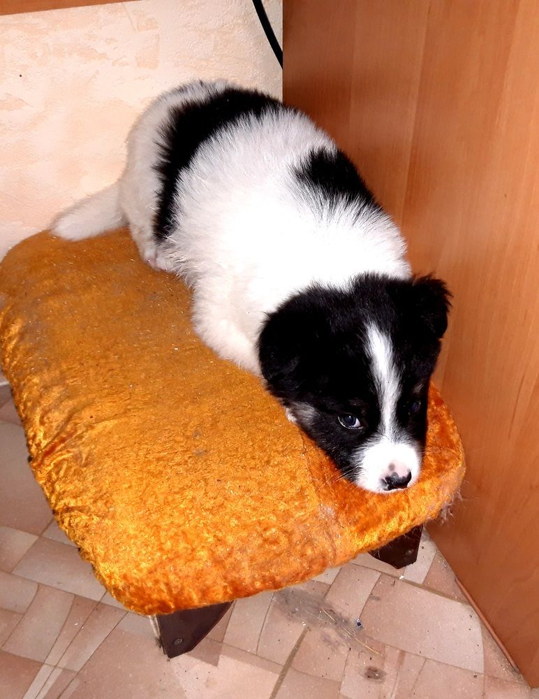 Photograph by Дмитрий Симагин