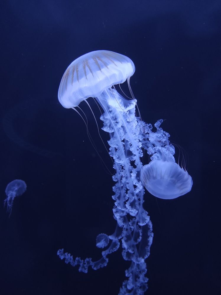 Photograph by Галина Лысых