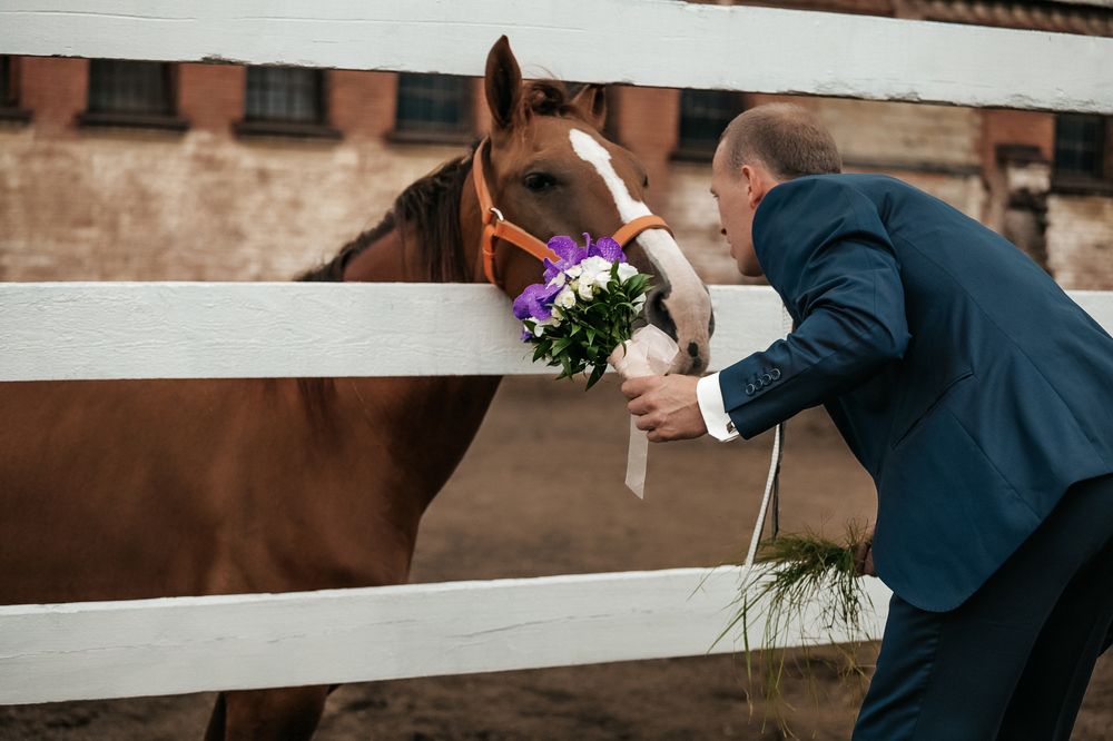 Photograph by Елена Лучшева