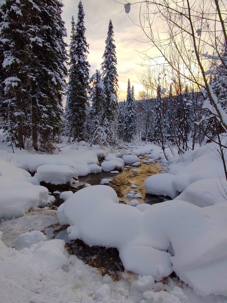 Photograph by Наталья Глек