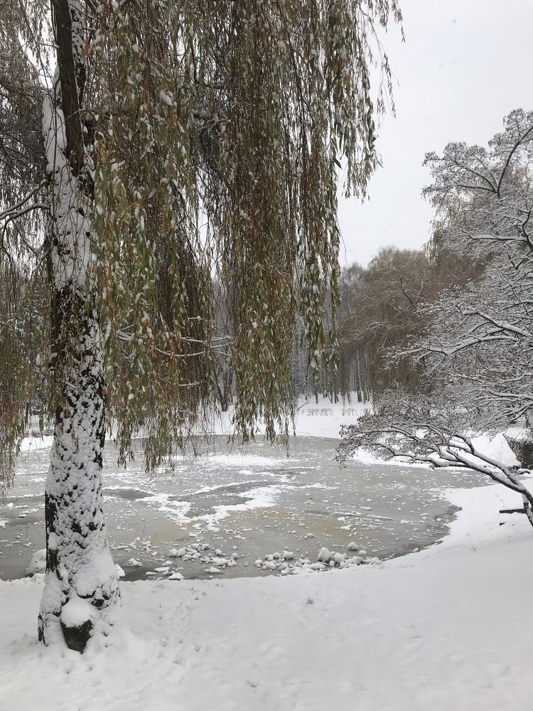 Photograph by Армен Егиян