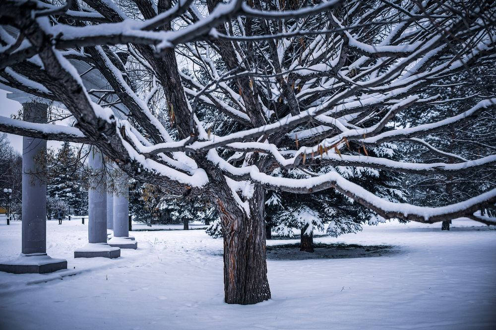 Photograph by Кирилл Богомазов