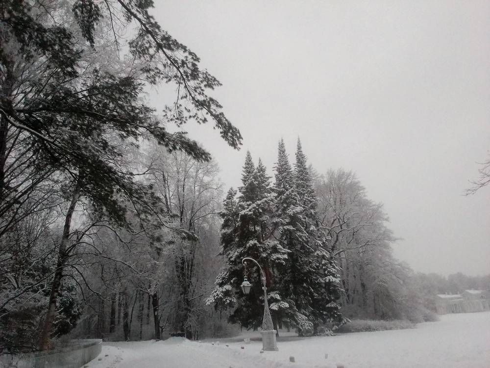 Photograph by Ольга Коркина