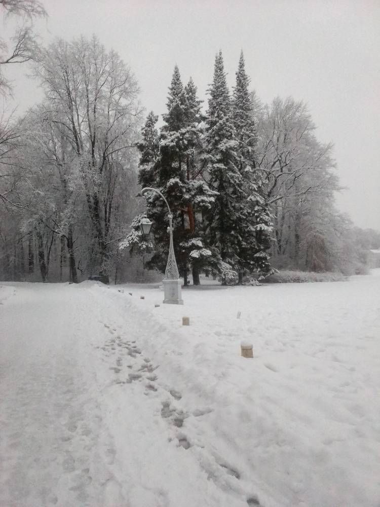 Photograph by Ольга Коркина