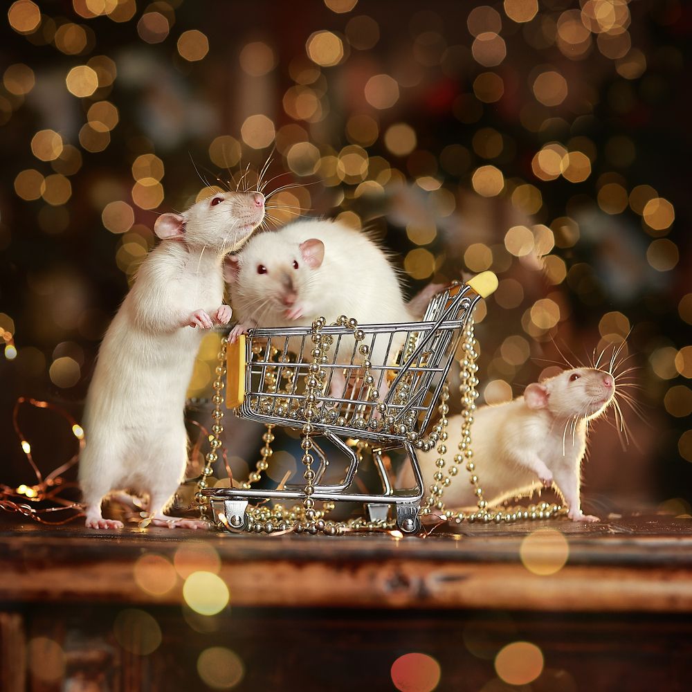 Photograph by Ирина Овчинникова