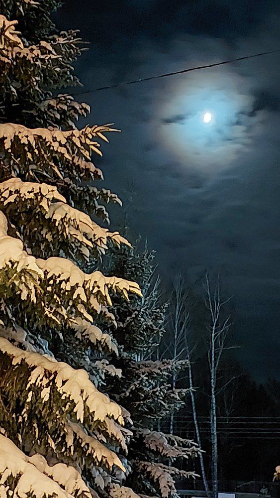 Photograph by Галина Мазур