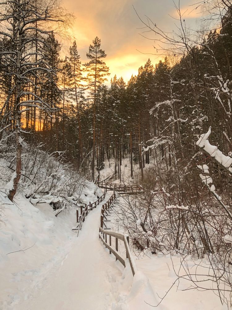 Фотография автора Светлана Гончарова
