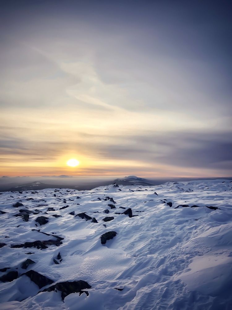 Фотография автора Дарья Кузнецова