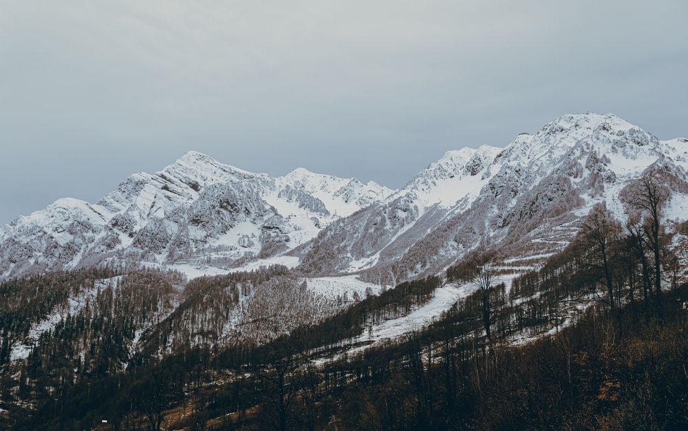 Photograph by Александр