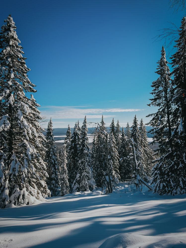 Фотография автора Дарья Кузнецова