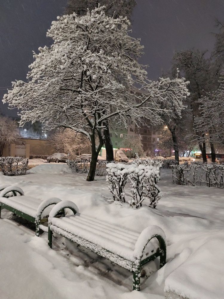 Photograph by Светлана Шуткова