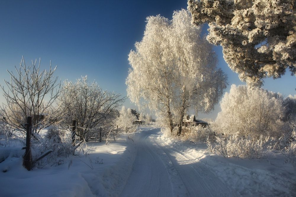 Photograph by Maxim Agafonov