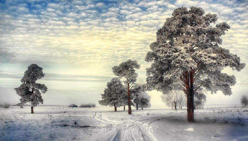 Photograph by Maxim Agafonov