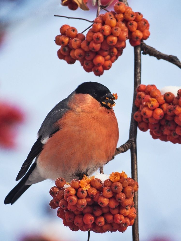 Photograph by Юлия Серазетдинова