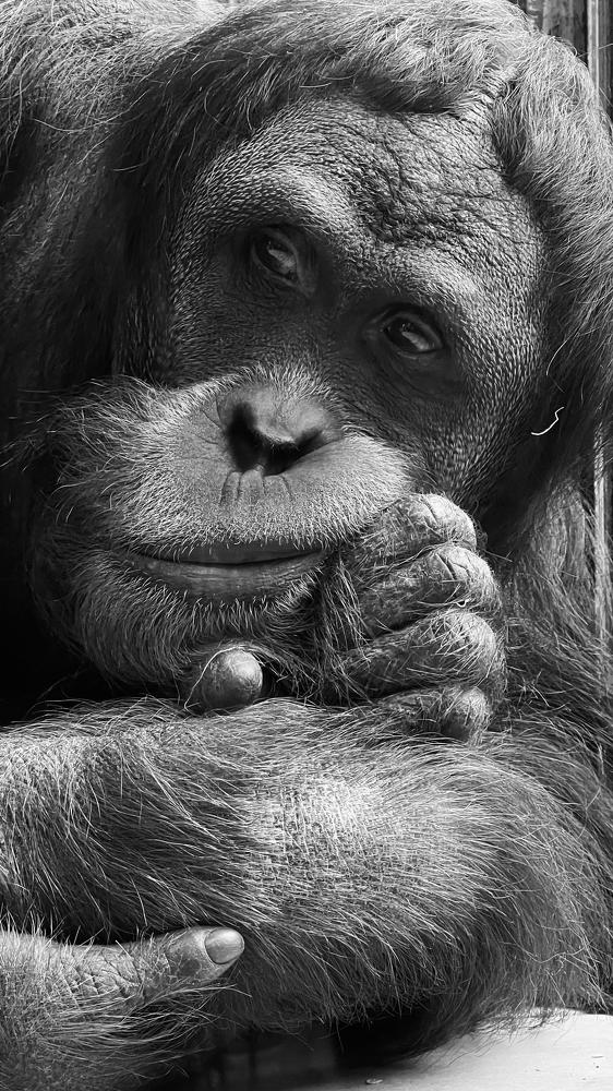 Фотография автора Александра Рябова