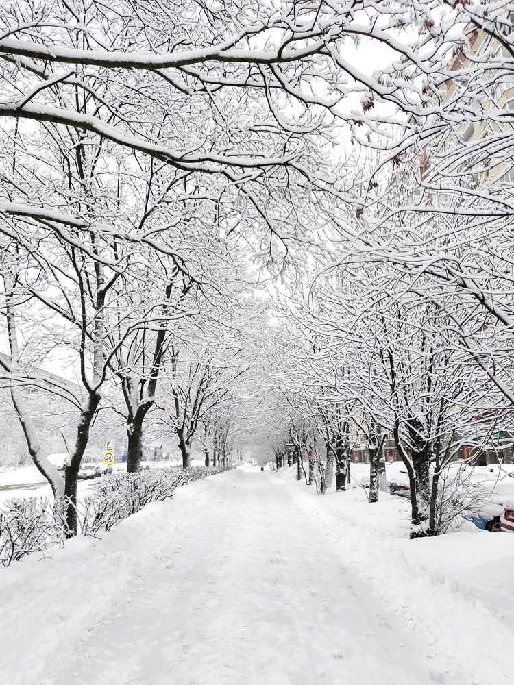 Photograph by Светлана Шуткова