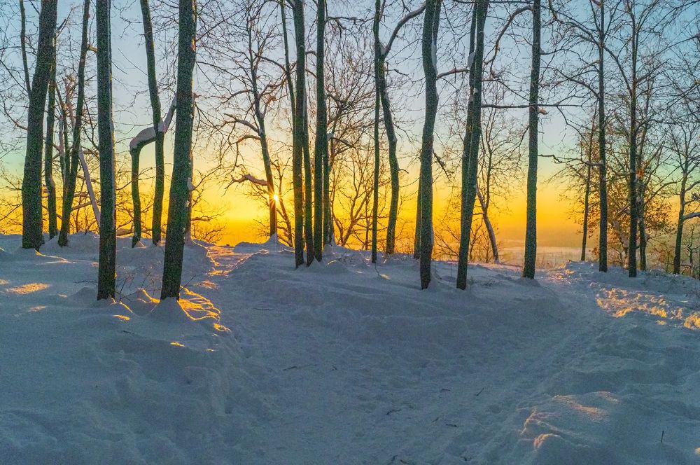 Photograph by Алексей Патлах
