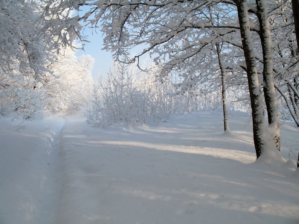 Photograph by Алексей Патлах