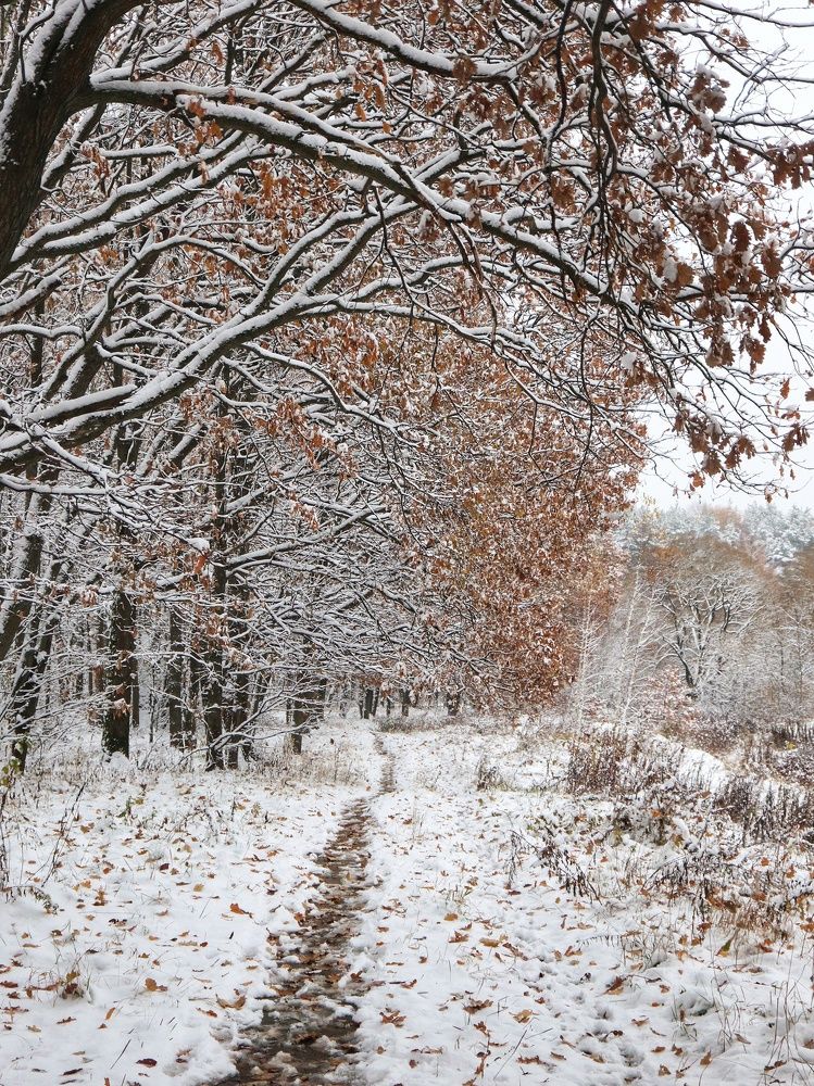 Photograph by Ирина Корабельникова