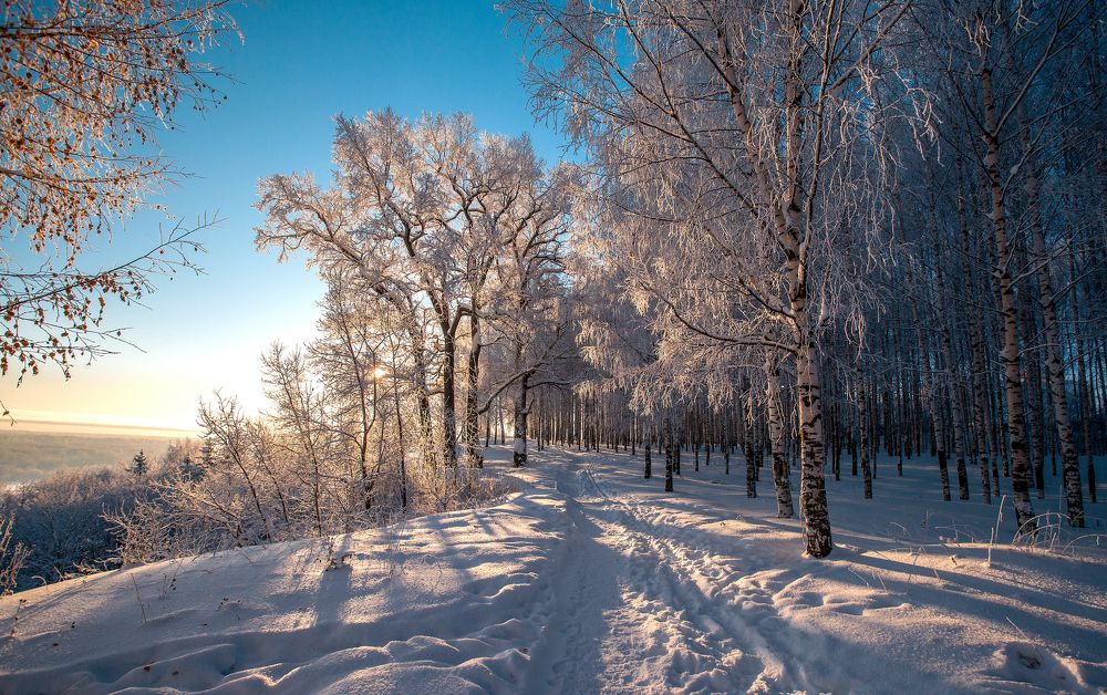 В лучах морозного солнца