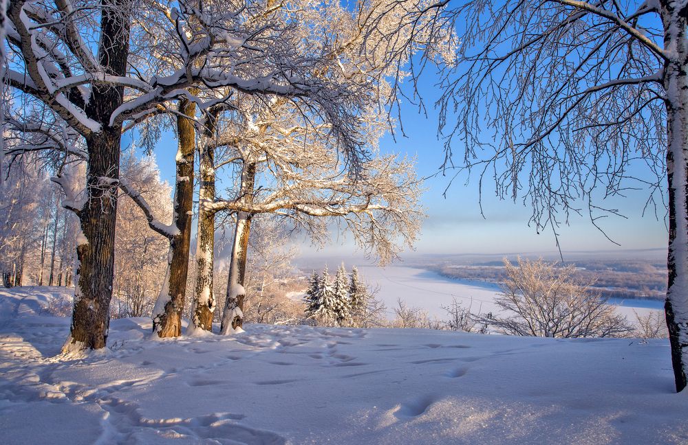 В тисках мороза (-35 по Цельсию)