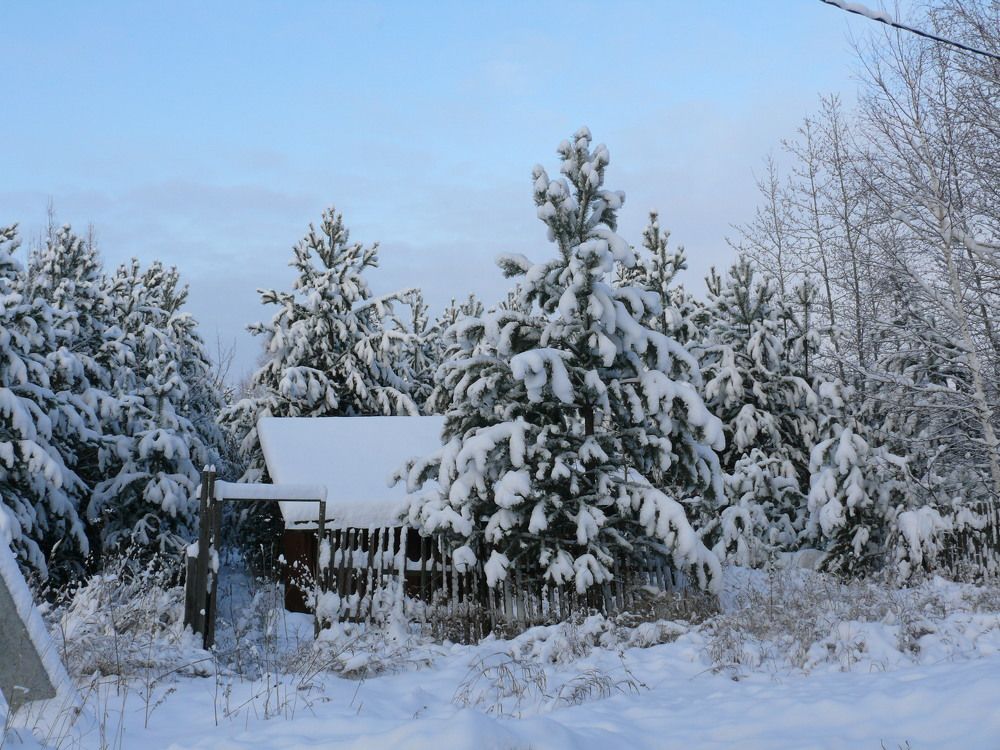 Photograph by Людмила Федорчак