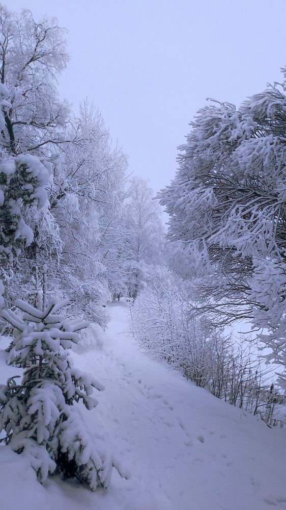 Photograph by Надежда Образцова