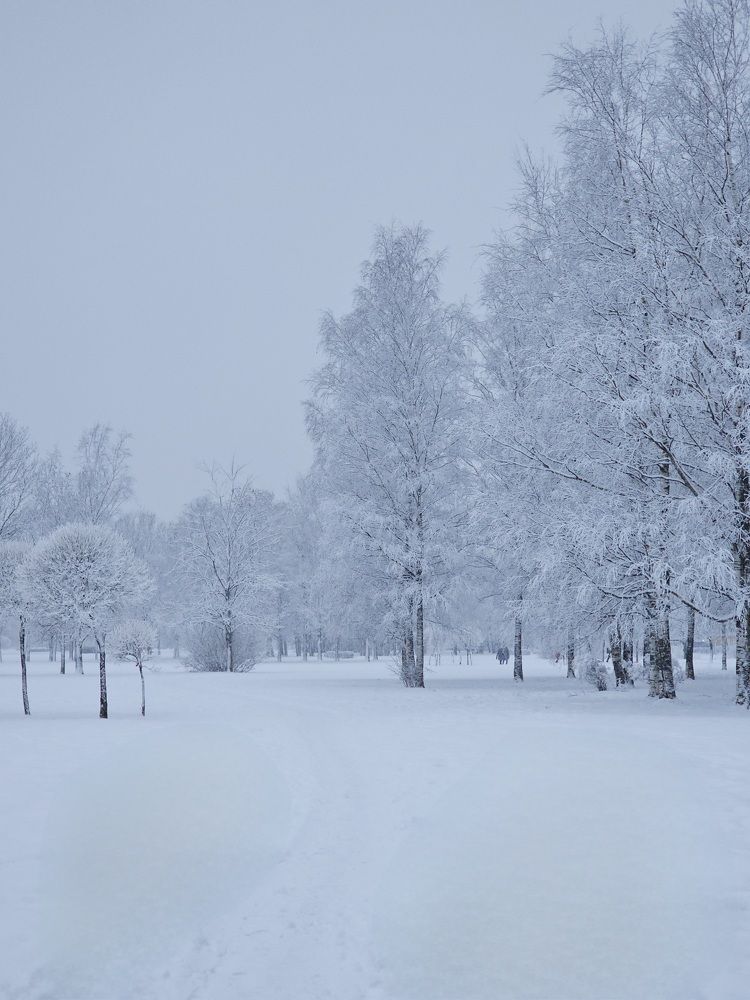 Photograph by Владислав Моисеев