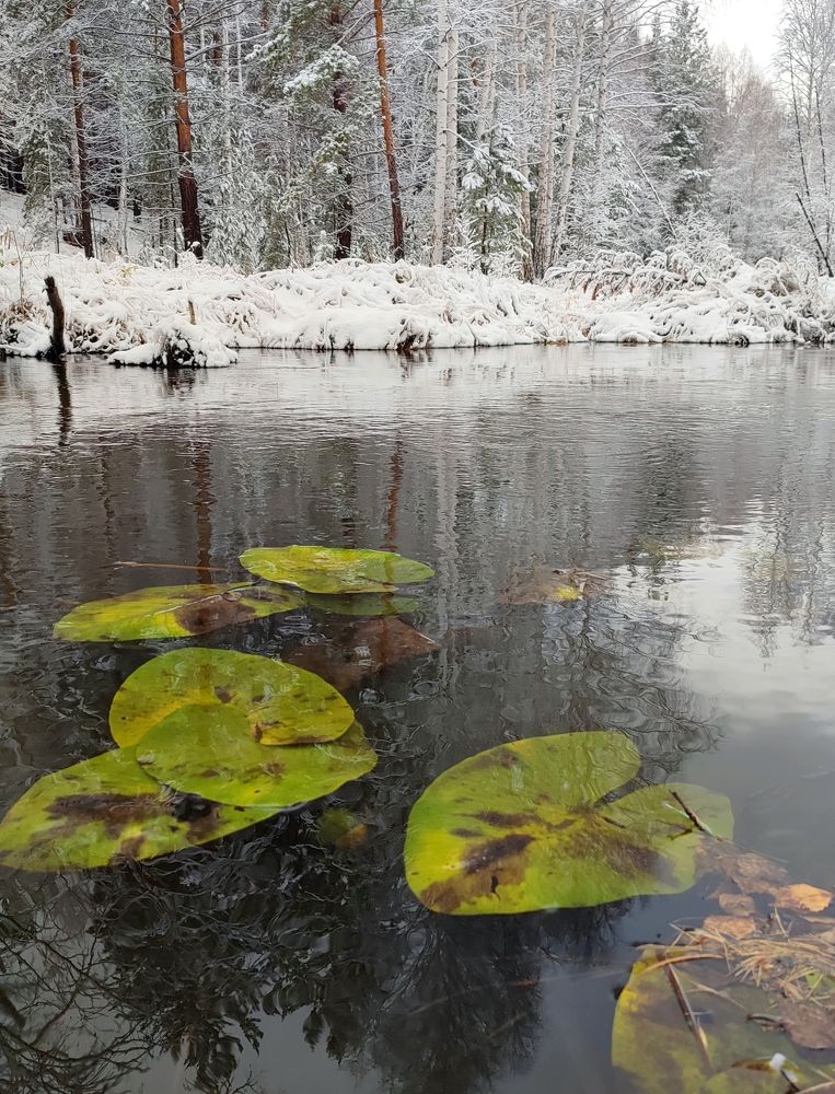 Photograph by Юлия Гинтер