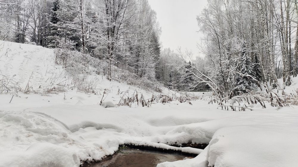 Photograph by Наталья Калюнова