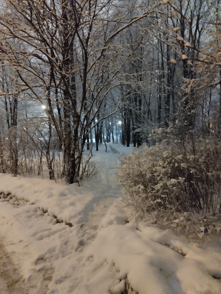 Photo #10017594