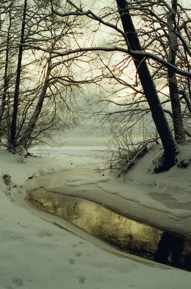 Photograph by Василий Селиванов