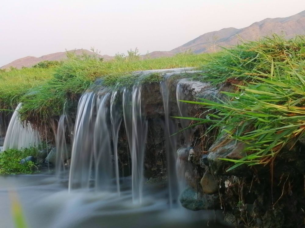 A picture of the nature of the Kingdom of Saudi Arabia