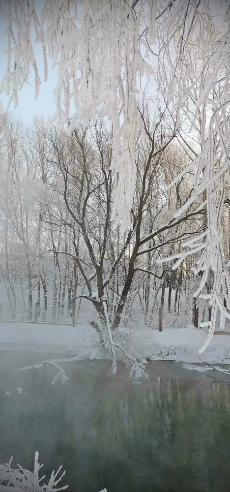 Фотография автора Игорь Винокуров