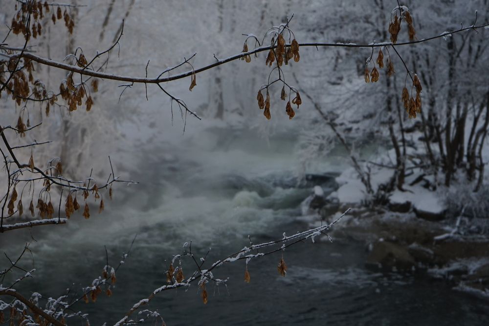 Фотография автора Игорь Винокуров