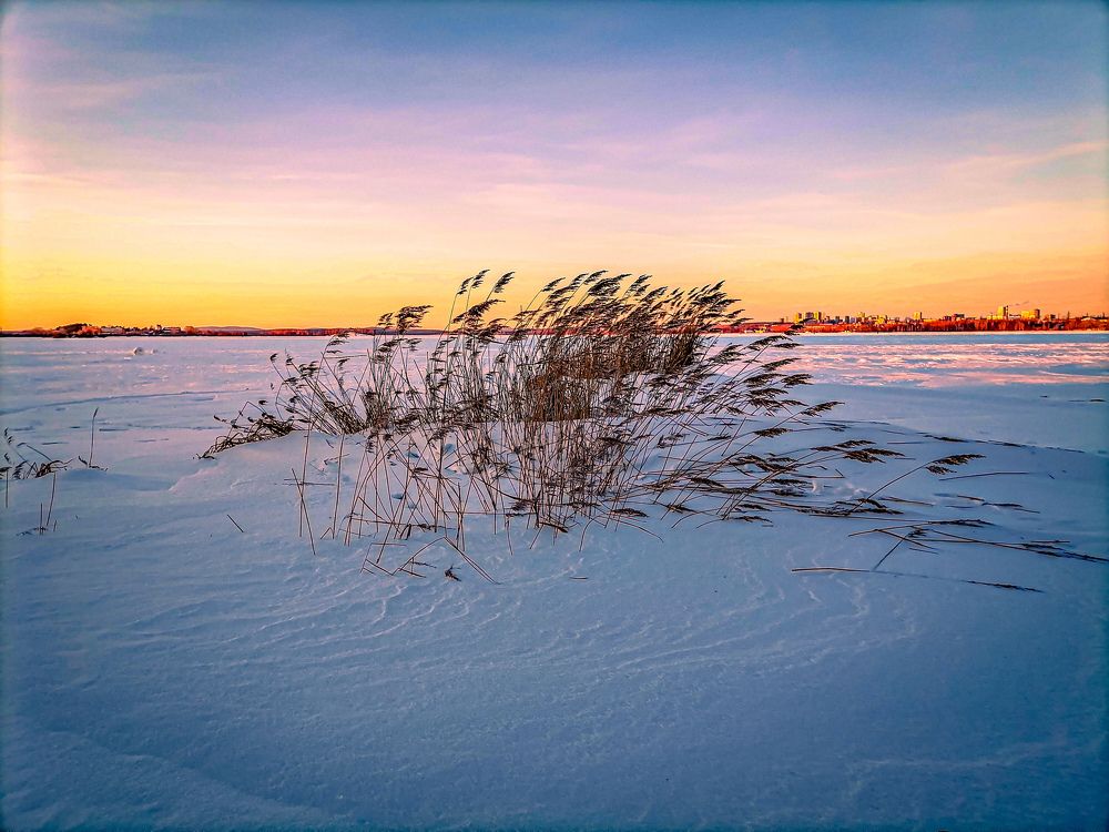 Photograph by Эрика Чечерина