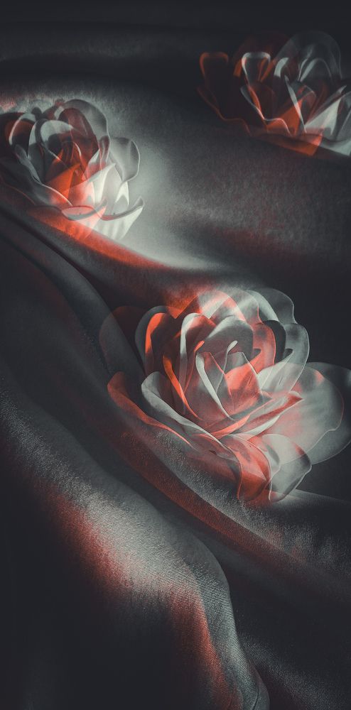 Photograph by Лия