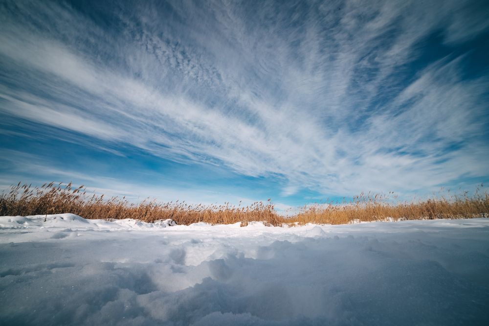 Фотография автора Rom@shkin